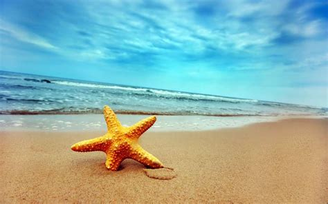 Descargar la imagen en teléfono Paisaje Cielo Mar Playa Estrella