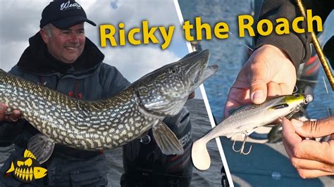 Zo Rigt Luc Coppens Ricky The Roach De Shad Voor Alle Snoeken Youtube