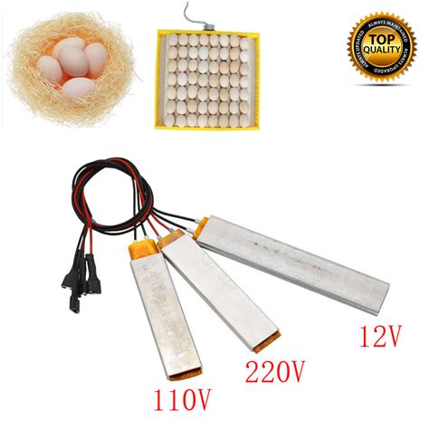 Heating Incubator Heater Element Plate For Egg Incubator Accessory 110v 220v 12v Ebay