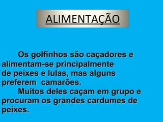 O Que Comem Os Golfinhos - Os golfinhos | PPT