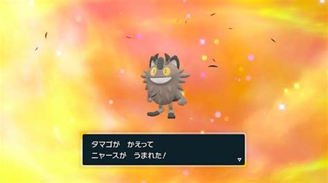 【ポケモンsv】セイジ先生は元ロケット団説 あにまんch