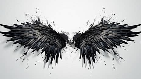 Black Angel Wings Isolated, Black Angel Wings, Angel Wings, Black Wings ...