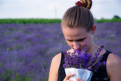 The Benefits Of Lavender When Diffused As Ambient Scent