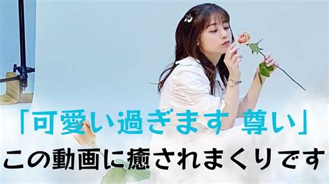 【橋本環奈】共演のポメ・シバリさんとのかわいいプレイ動画が話題です。 Youtube