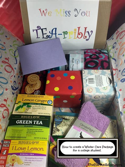 10 Ideal College Student Care Package Ideas 2024