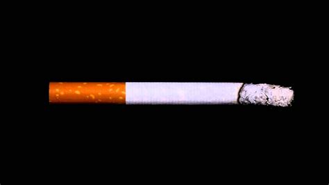 Cigarette Timelapse Burning Down Free Footage Full Hd 1080p Youtube