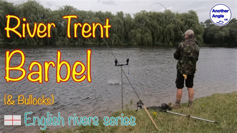 River Trent Barbel Fishing Never Mind The Bullocks Youtube