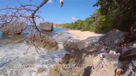 Pesca Isla De Mona Puerto Rico