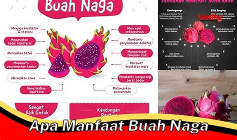 5 Manfaat Buah Naga Yang Perlu Kamu Tahu Biotifor