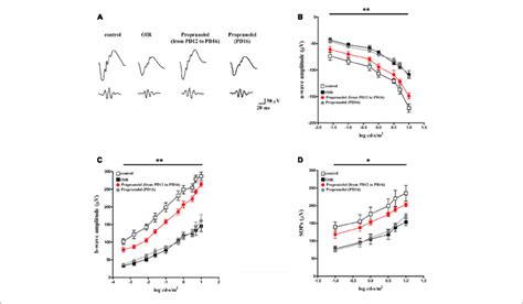 Propranolol Effects On Retinal Functions A Representative Erg