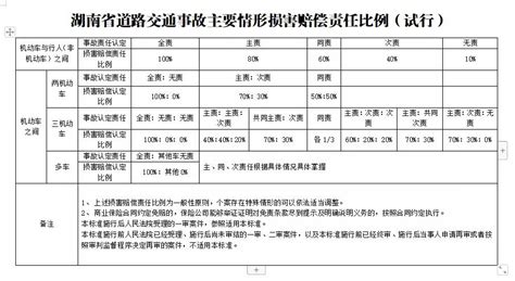 明确了！湖南交通事故损害赔偿项目及计算标准公布！ 鹤城区人民政府