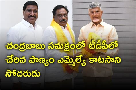 చంద్రబాబు సమక్షంలో టీడీపీలో చేరిన పాణ్యం ఎమ్మెల్యే కాటసాని సోదరుడు