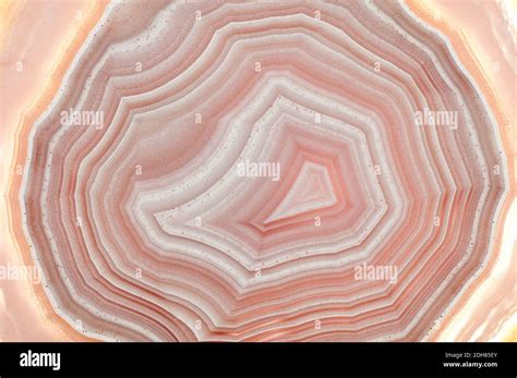 Rough Round Agate Mineral Sample With Outer Shell Geode Stock Photo Alamy