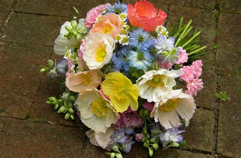 Romantic Wedding Flowers Poppy Bridal Bouquet Colorful Islandic Poppies