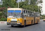 Buses In Tunisia Tunis TRANSTU