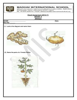 Fillable Online Growing Vegetables Tomatoes Fact Sheet Unh Extension