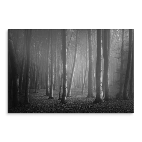 East Urban Home Leinwandbild Wald Im Nebel Fotodruck