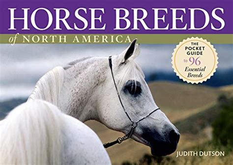 Best Racing Horses Breeds: A Guide to the Top 10 Stallions