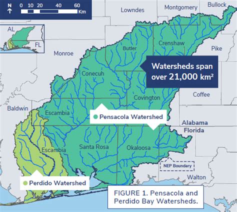 Weekly “what Is It” The Ppbep Ccmp Ufifas Extension Escambia County