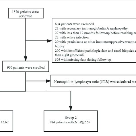 The Flow Chart Of Excluded Patients Download Scientific Diagram