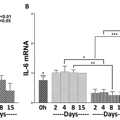 The effects of L. plantarum and the combination of L. rhamnosus and B.... | Download Scientific ...