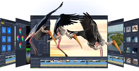 Corel Pinnacle Studio Ultimate Esd Programy Graficzne I Wideo