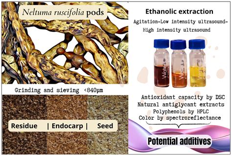 Antioxidant And Antiglycating Properties Of Ethanolic Extracts From