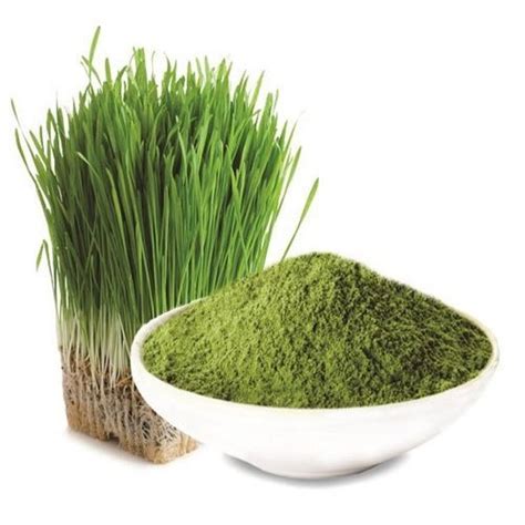 Barley Grass Powder – Saipro