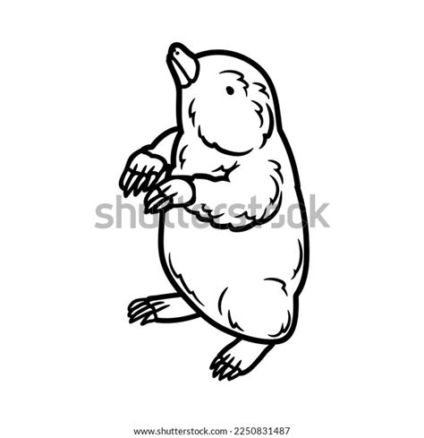 Cartoon Image Naked Mole Rat Which Stock Illustration Shutterstock