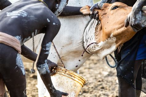 Find Out About Ethiopias Mursi Tribe Which Are The Most Visited African