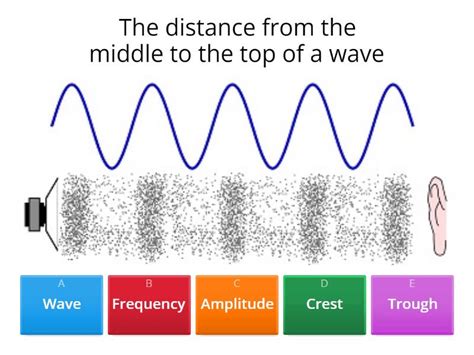 Sound and Light Waves - Quiz