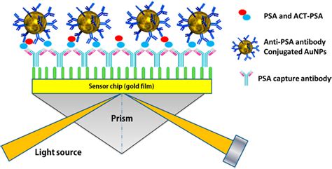 Sensors Free Full Text Surface Plasmon Resonance A Versatile Technique For Biosensor