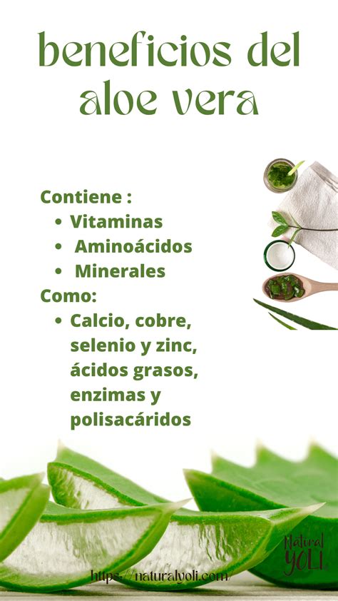 Beneficios Del Aloe Vera Natural Yoli