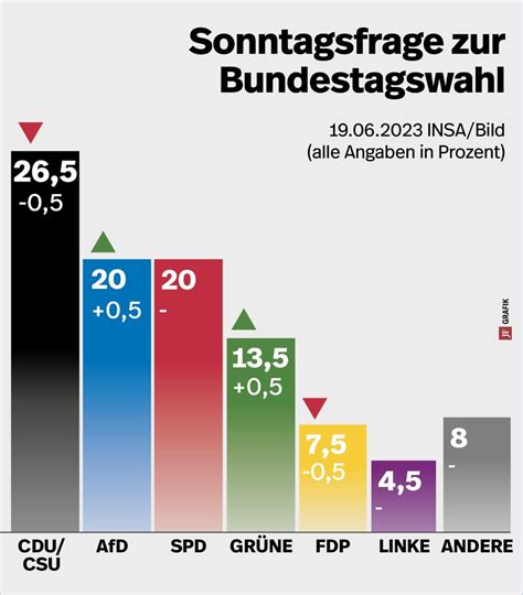 20 Prozent AfD stellt den nächsten Umfragerekord auf