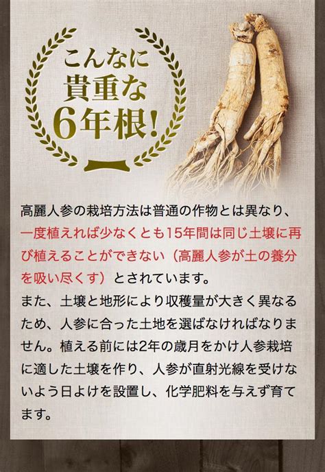 【楽天市場】【ポイント10倍！～115水限定】【2024年楽天ランキング3冠受賞！】【クーポン対象】高麗人参サプリ 6年根・高麗紅参精