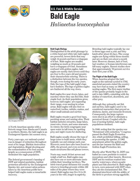 Bald Eagle Fact Sheet Reading Biology U Fish And Wildlife Service