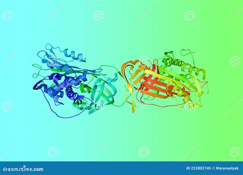 Crystal Structure of Antithrombin-III, a Protein Molecule and Heparin ...