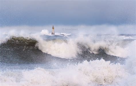 Carr Beacon Waves - Blue Fin Art