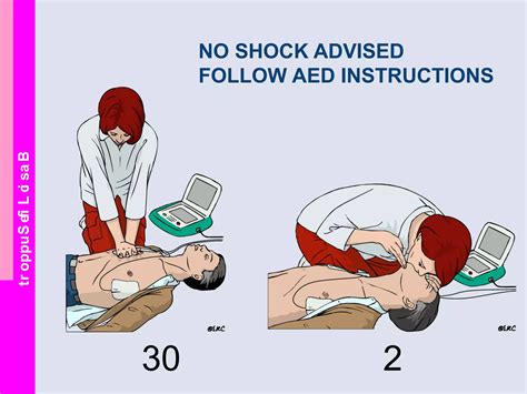 Basic Life Support Bls Ppt