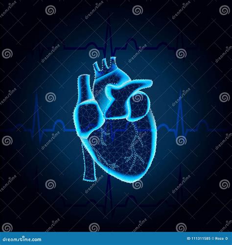 Human Heart Polygon On Ecg Blue Mesh Stock Vector Illustration Of