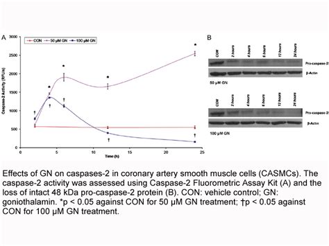 Apexbio Caspase 2 Fluorometric Assay Kit Detects Vdvad Dependent Caspase Activity Highly