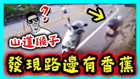 山道猴子系列｜當猴子騎車到一半發現路邊有香蕉時 ｜ 墨鏡哥新梗圖梗文迷因搞笑對話神留言 237｜墨鏡哥主頻道 墨鏡哥sg Fanclub