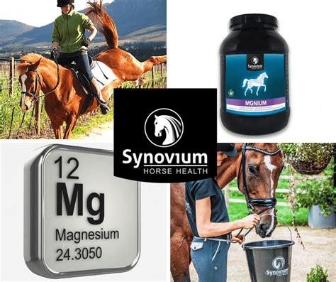 Leading Vet Advice on Magnesium for Horses - Synovium Horse Health