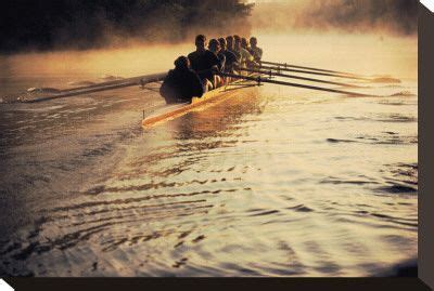 Crew Rowing & Sculling, Posters and Prints at Art.com | Rowing ...