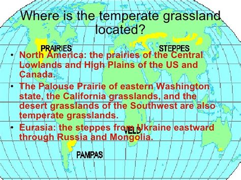 Temperate Grassland Makayla