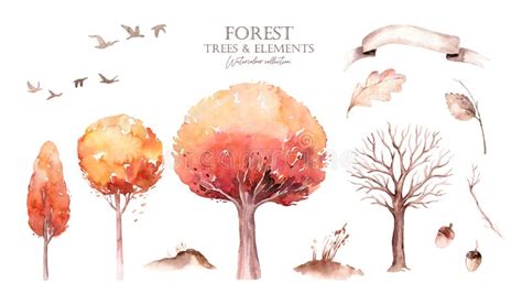 Set Of Watercolor Autumn Trees Fall Hand Drawn Yellow Orange Forest