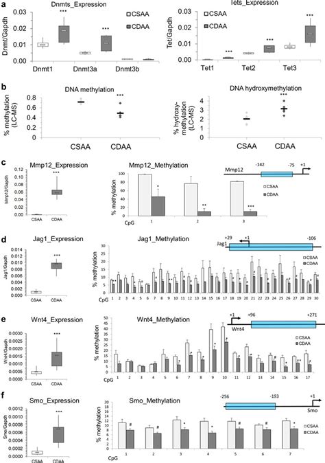 Dysregulation of DNA methylating and demethylating enzymes, and DNA ...