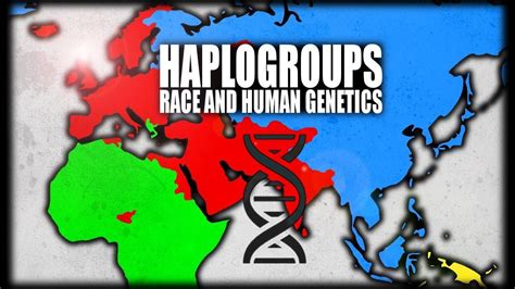 What are Haplogroups? Human Genetics Explained - YouTube