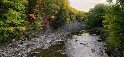 Etobicoke Creek Watershed Plan - Toronto and Region Conservation ...