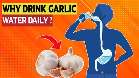 What Happens To Your Body When You Drink Garlic Water Daily Garlic